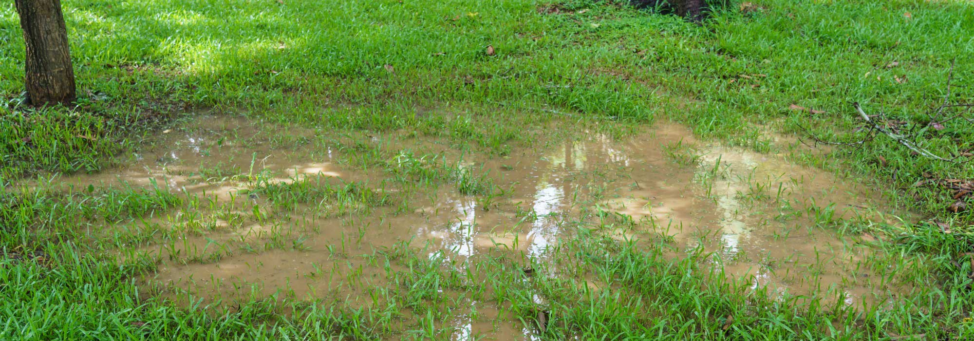 How to drain a lawn that is too wet?