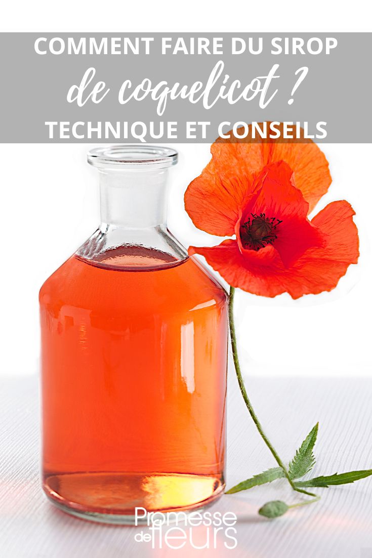 Poppy Syrup Recipe