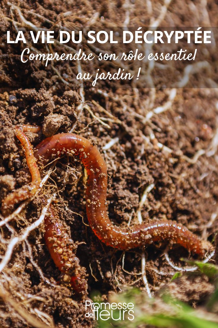 the soil, the fauna, and the microorganisms that inhabit it