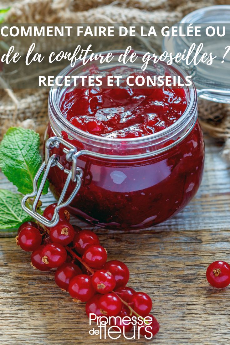 currants