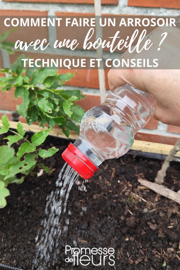 Make a homemade watering can with a bottle for a fine rain effect.