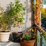 Our tips to making the most of an east-facing balcony