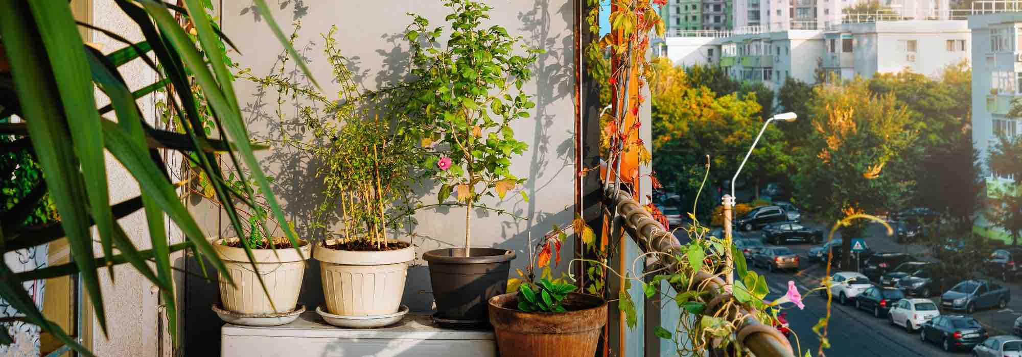 Our tips to making the most of an east-facing balcony