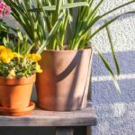 Our tips to optimise a West-facing balcony