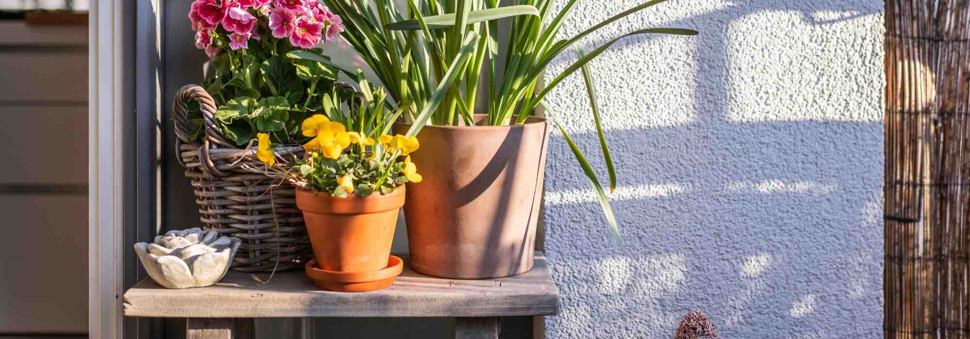 Our tips to optimise a West-facing balcony