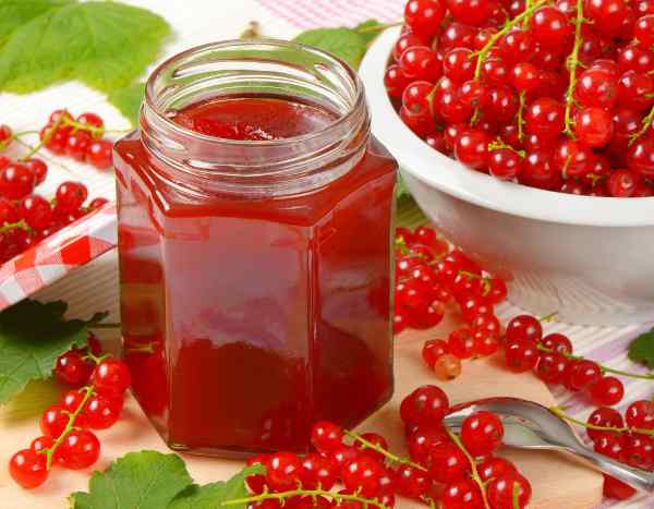 Redcurrants in jam or jelly: two delicious recipes!