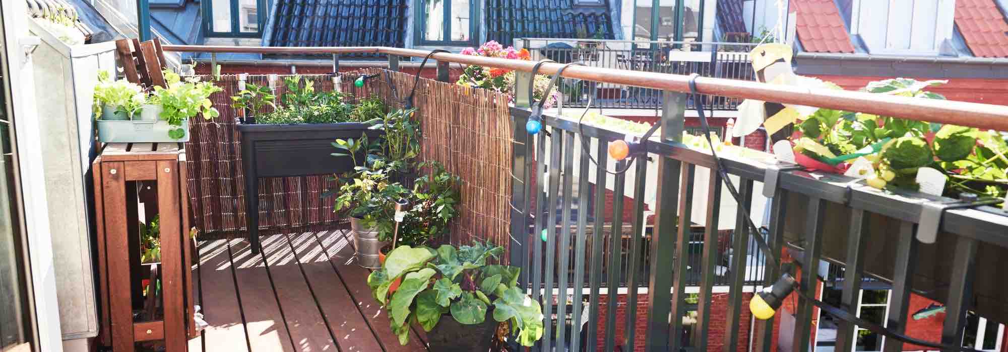How to make the most of a large balcony?
Our tips and advice