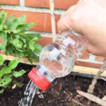 Zero waste: how to make a watering can from a plastic bottle?