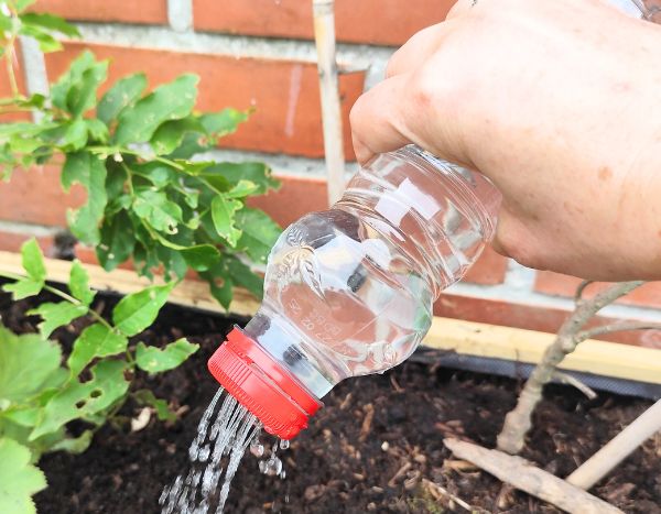 Zero waste: how to make a watering can from a plastic bottle?