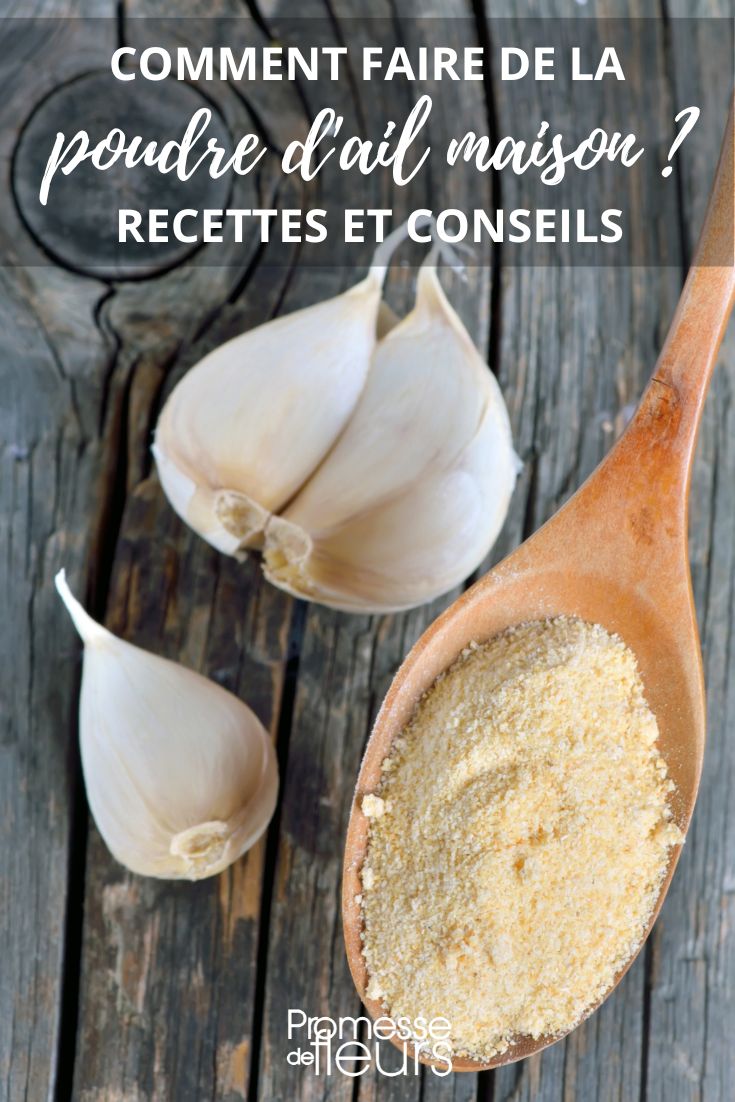 Garlic powder
