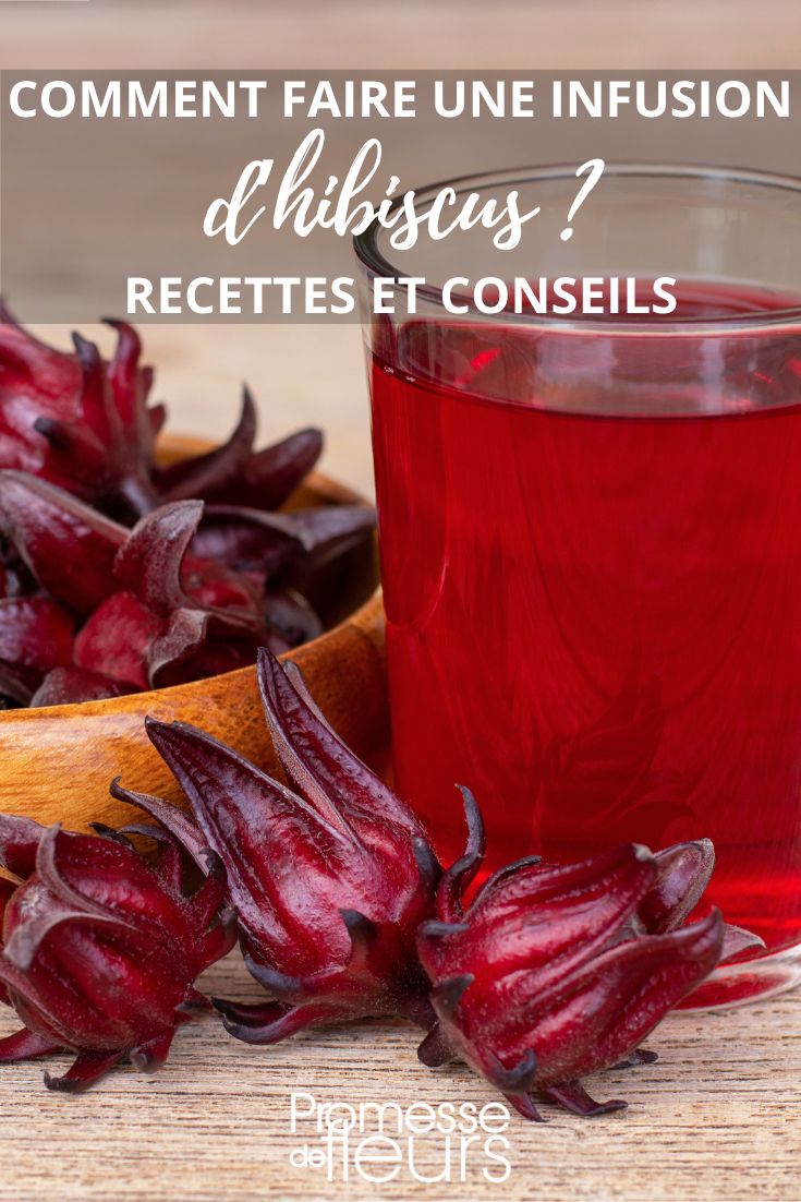 hibiscus tea