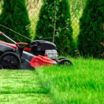 How often should we mow the lawn?