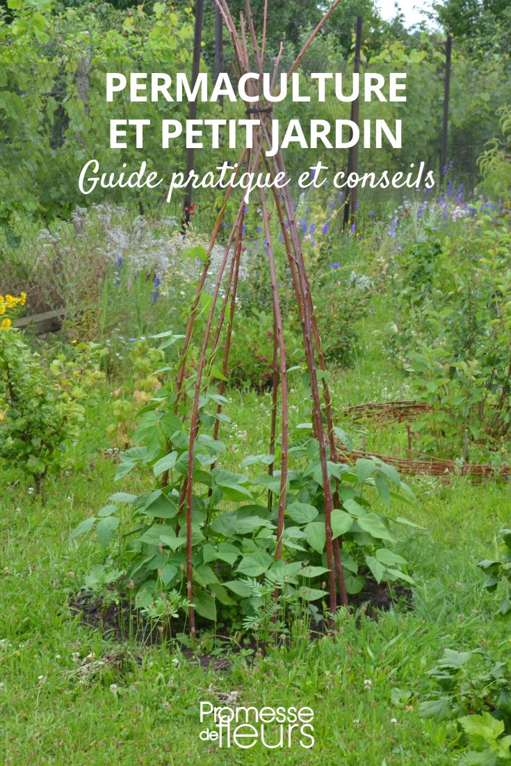 Permaculture and Small Garden, Is It Possible? Can permaculture be implemented in a small garden?