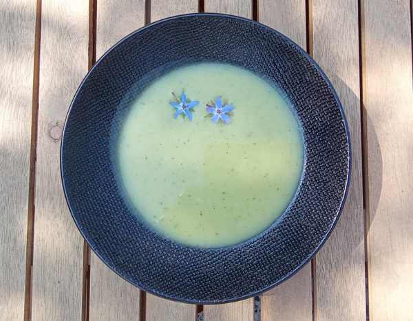 Borage leaf soup: a single and tasty recipe