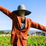 How to make a scarecrow for the garden?