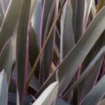 Coffee Colour Inspiration