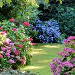 How to design an East-facing garden?