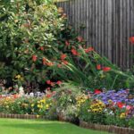 How to design a West-facing garden?