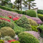 How to plant on a slope?