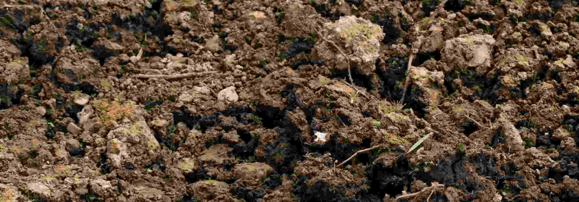 What is a limestone soil?
