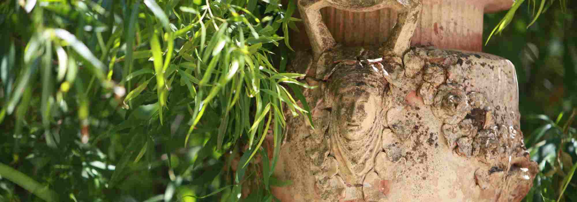 Clay and terracotta pots landscape ideas for the garden