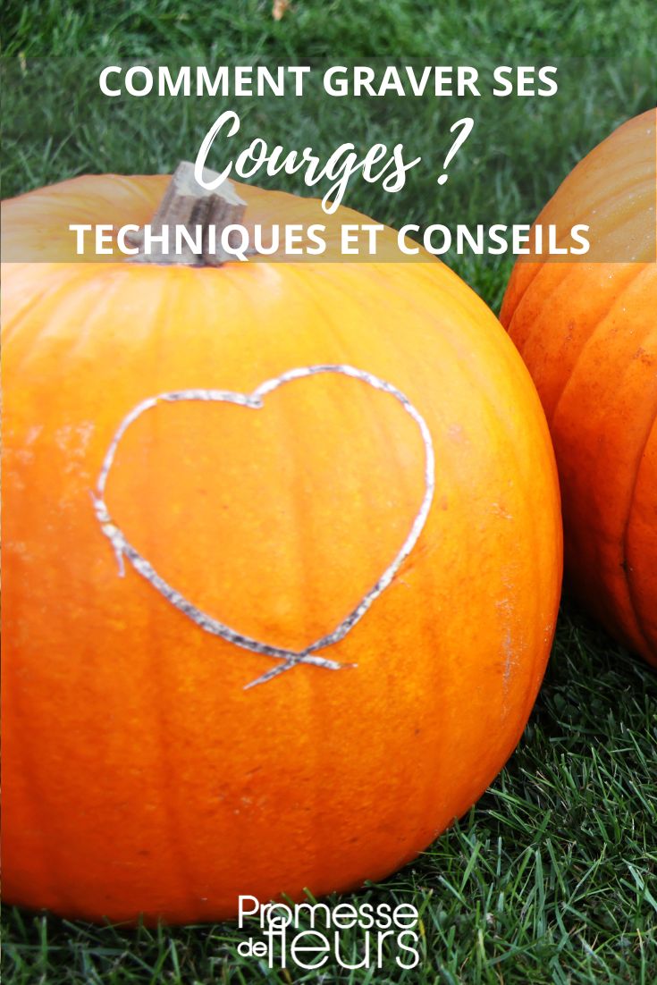 drawing on squashes and pumpkins