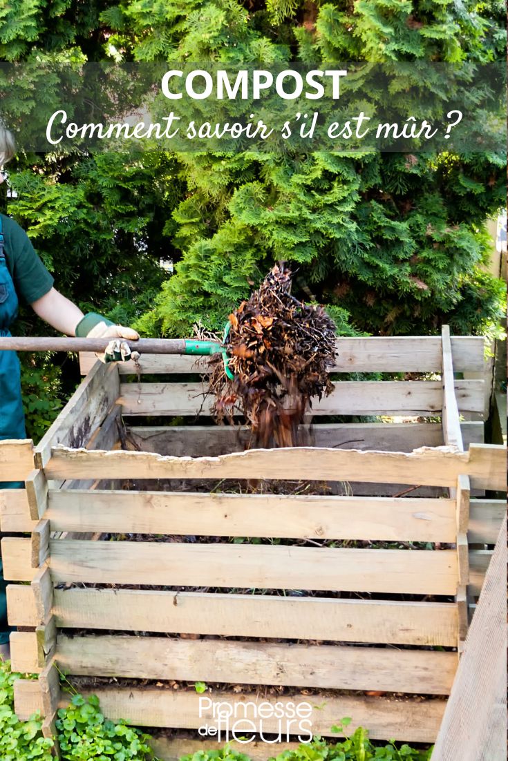 compost bin: recognizing well-matured compost