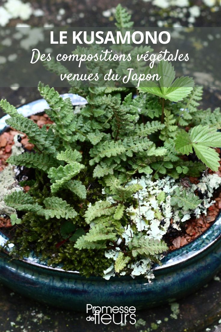 Kusamono: Plant Compositions from Japan Kusamono floral arrangement