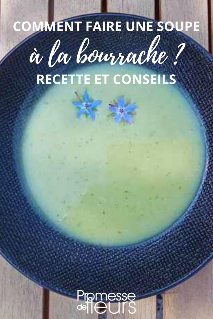How to Make Borage Soup