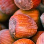 Hazelnut: growing, harvest, recipes