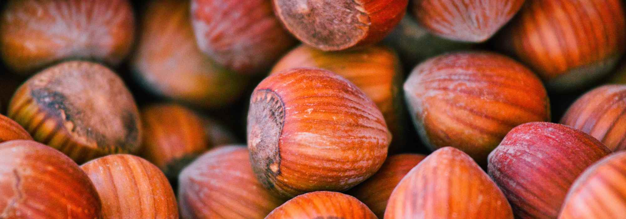 Hazelnut: growing, harvest, recipes