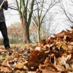 Garden maintenance: essential tools for tidying and clearing up