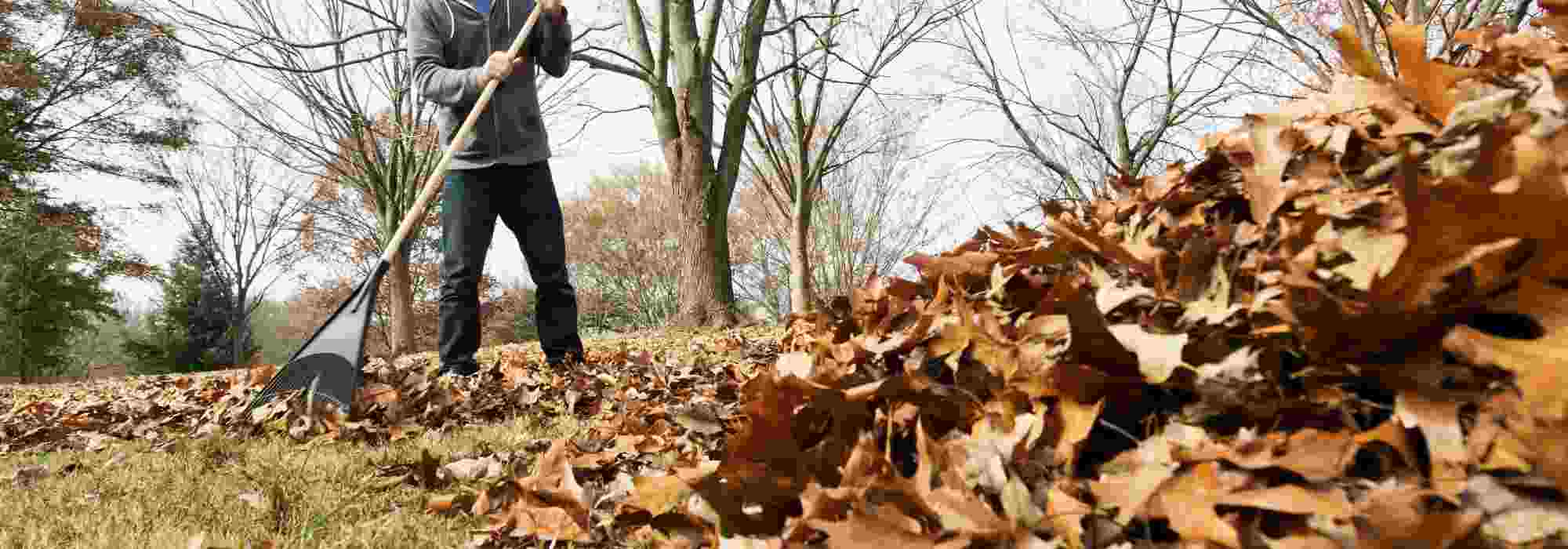Garden maintenance: essential tools for tidying and clearing up