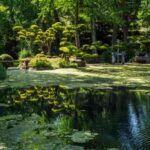 The benefits of visiting gardens