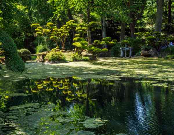 The benefits of visiting gardens