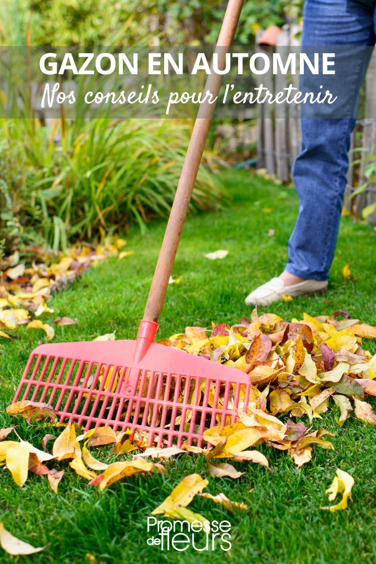 Gardening Tasks for Autumn