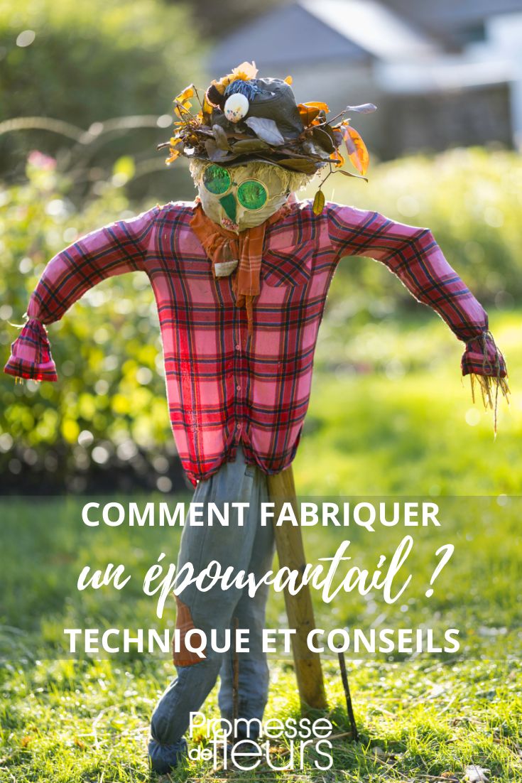 Making Your Scarecrow for the Vegetable Garden