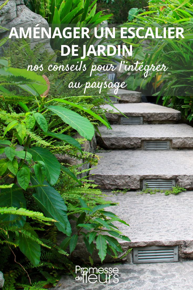 A Garden Staircase: Plant Choices and Landscaping