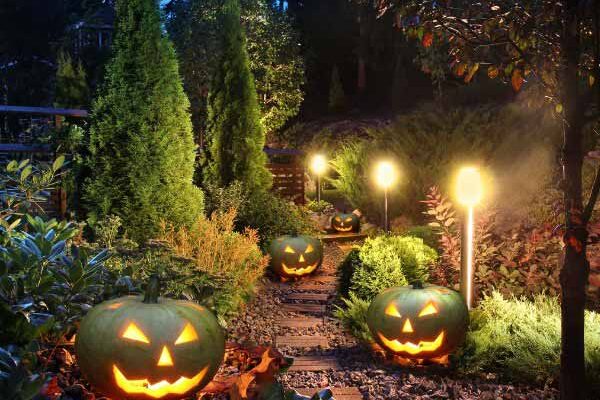 Haunted trail: transform your garden for Halloween
