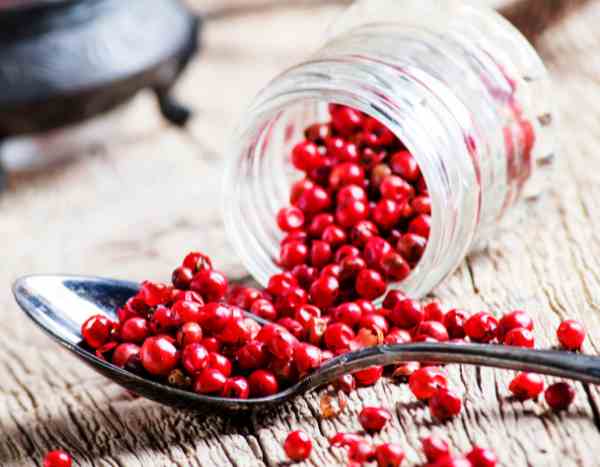 How to harvest, preserve and use pink berries in cooking?