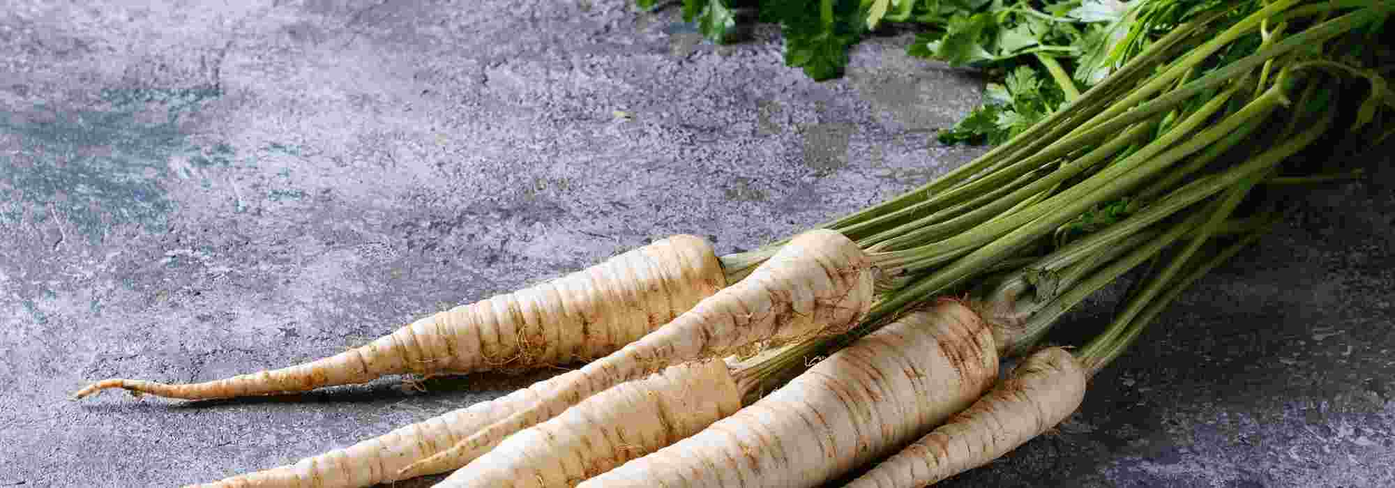 Parsnips: How to choose the best variety?