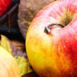 Apple trees: why choosing heritage and local varieties?