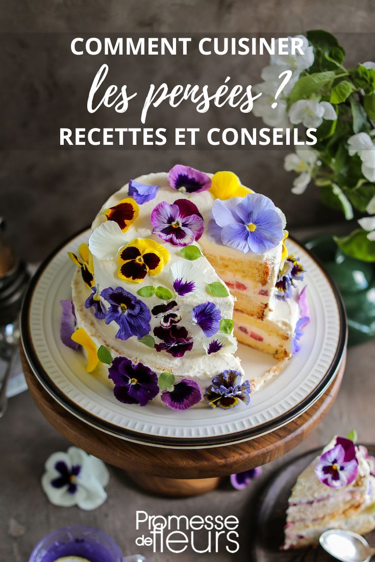edible viola flowers
