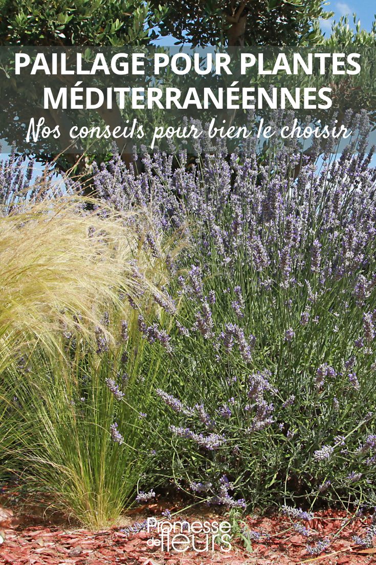 The various mulching options for the South