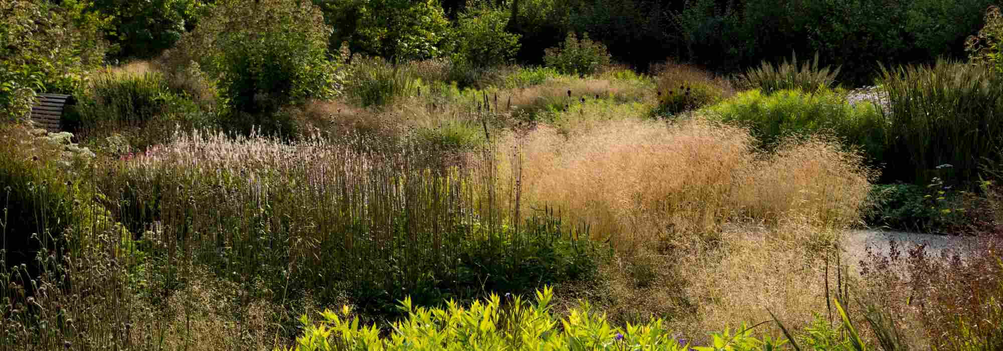 How to design a naturalistic garden?