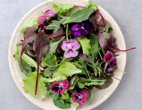 Edible flowers: pansies make their way into the kitchen!