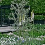 Silvery-white garden: our ideas and tips