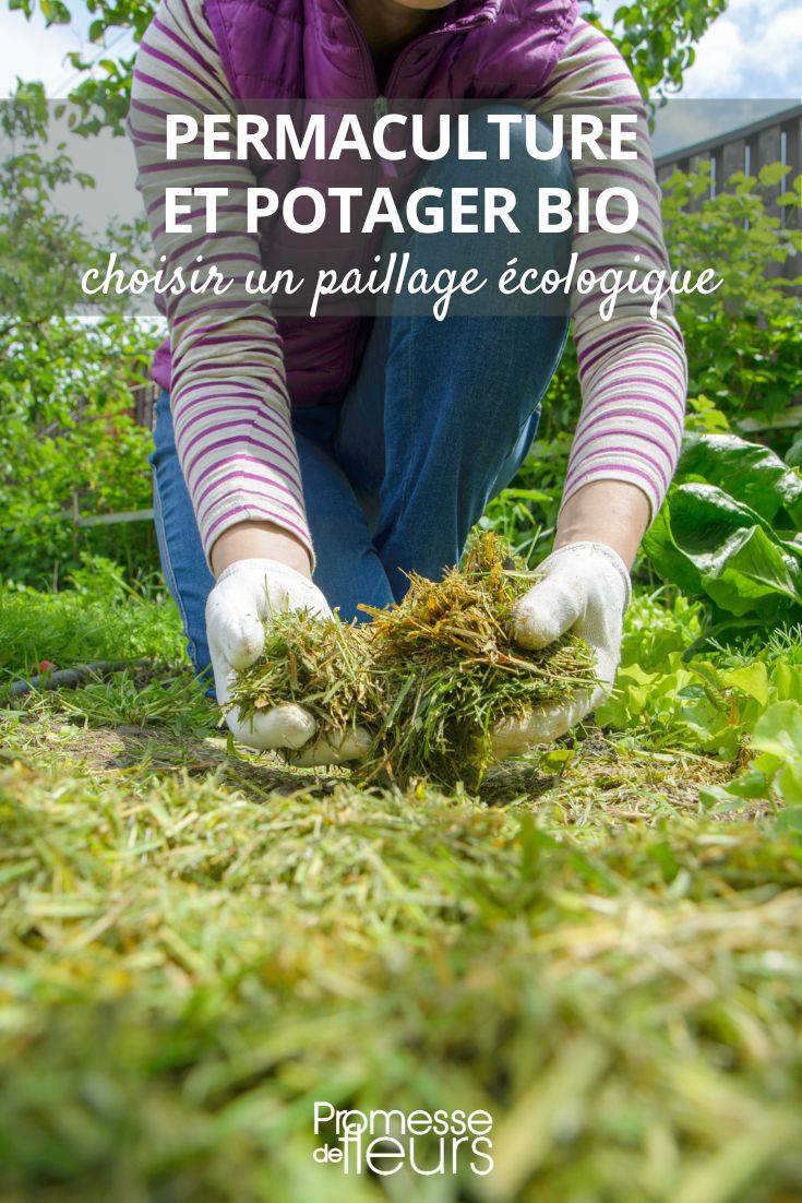 Permaculture and Organic Vegetable Garden: Choosing an Eco-Friendly Mulch mulching with herb