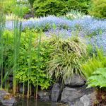 How do I choose plants that suit my garden?