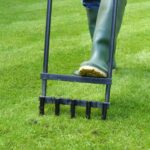 How to aerate your short grass meadow: step by step for a healthy lawn